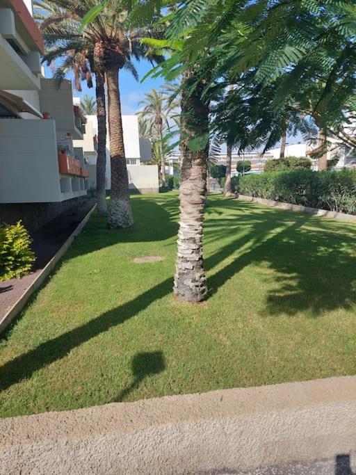 Lovely Apartment With Pool Costa Del Silencio Zewnętrze zdjęcie
